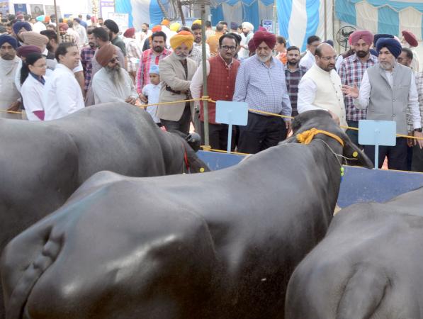Dignitaries during mela visit